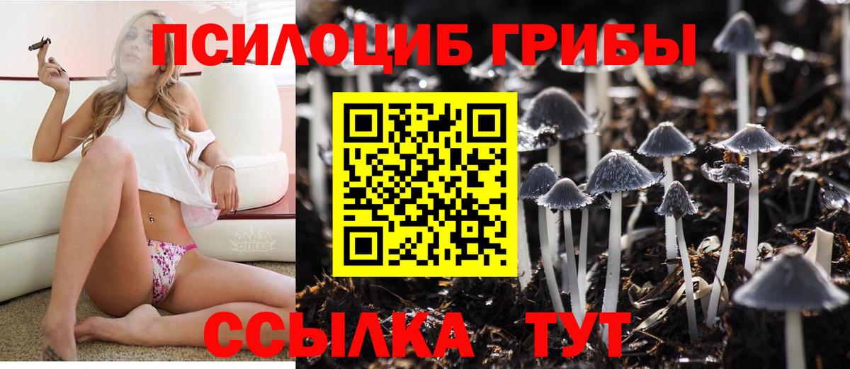 Луга  купить закладку  Вход с VPN  Псилоцибиновые грибы GOLDEN TEACHER  Псилоцибиновые грибы мицелий 