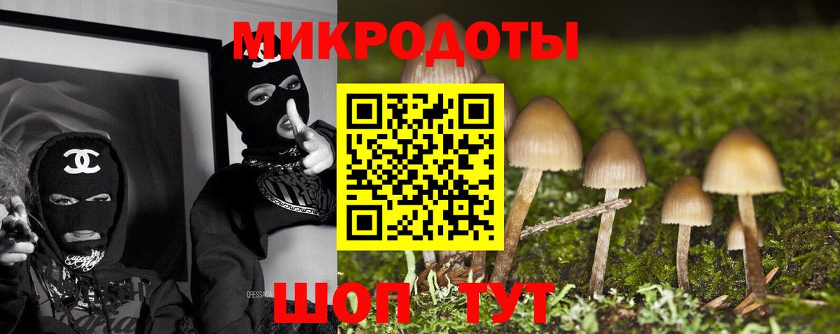 Псилоцибиновые грибы прущие грибы Луга